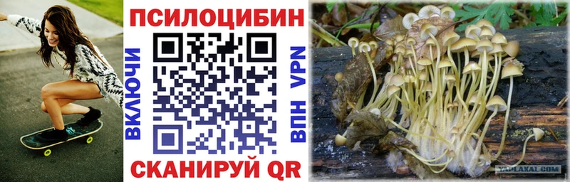 Псилоцибиновые грибы Psilocybine cubensis  Купить закладки  Южа 