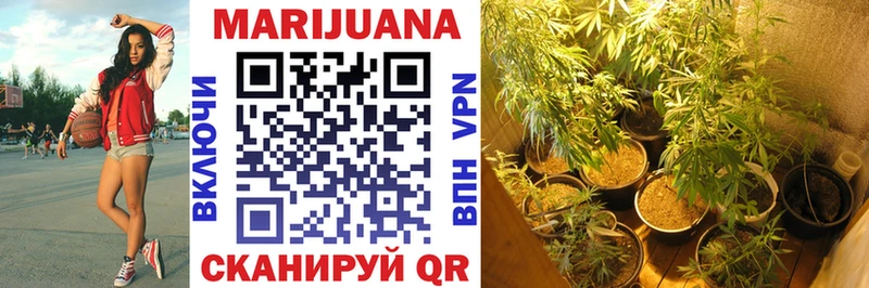 Канабис сатива  Купить закладки  Южа 